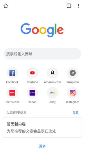 谷歌(海外版浏览器下载,google浏览器海外版
