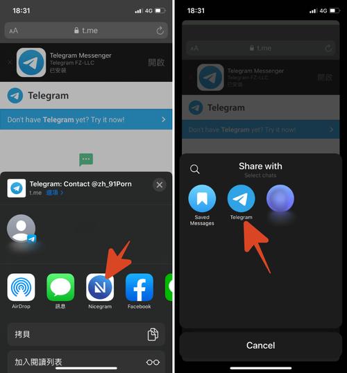 telegram黑色产业,telegeram官网入口国际版