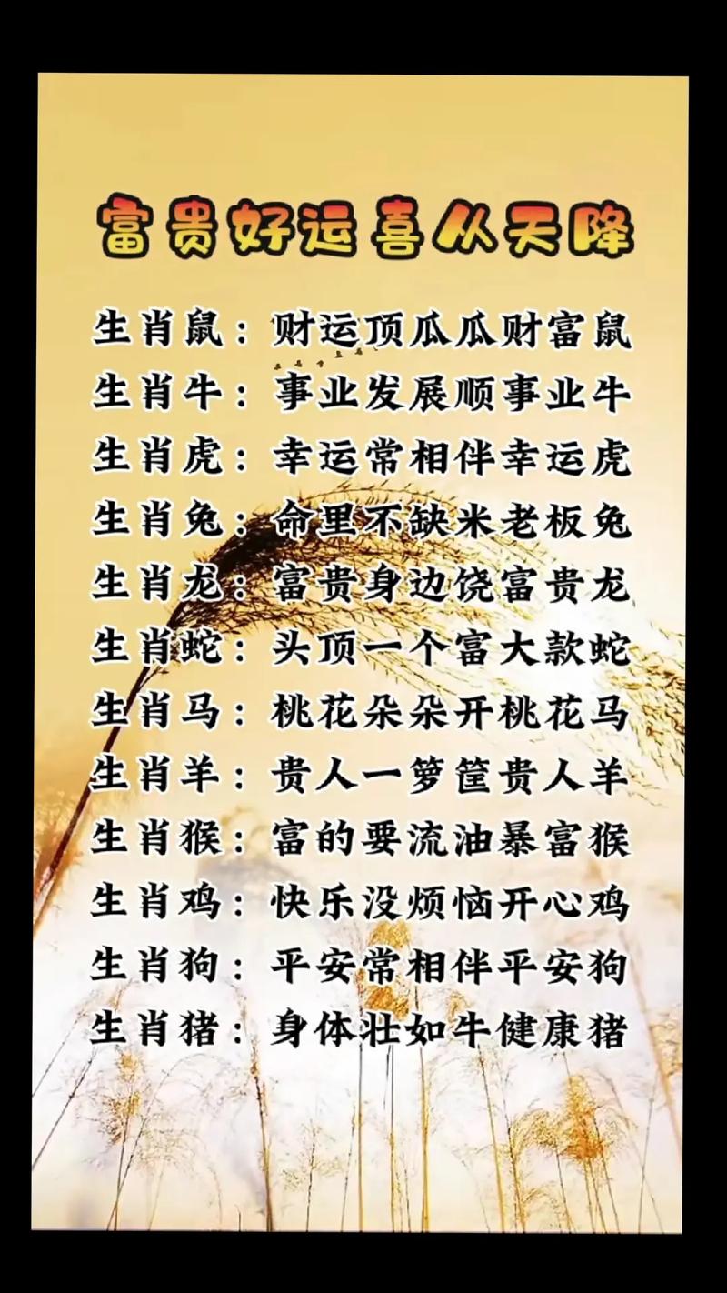 什么生肖带来好运:什么生肖带来好运呢