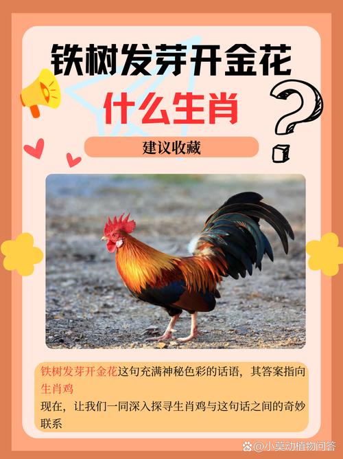 今期生肖在一头打一个生肖是什么:今期生肖在一头打一个生肖是什么意思