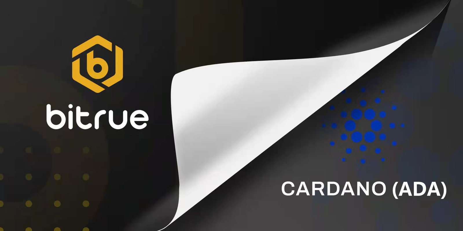 卡尔达诺成功预言过什么:卡尔达诺cardano项目