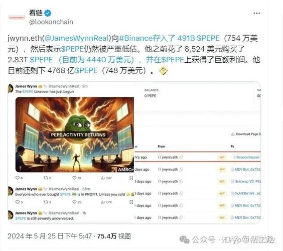 pepe币:pepe币涨了多少倍