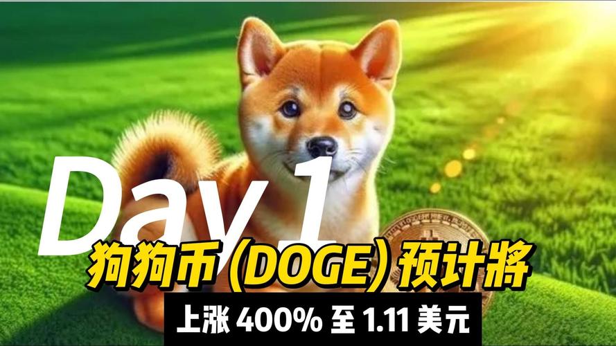 狗币今日价格多少美元:狗币今日价格多少美元一枚