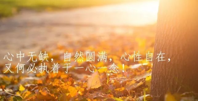 token的词组-token短语搭配