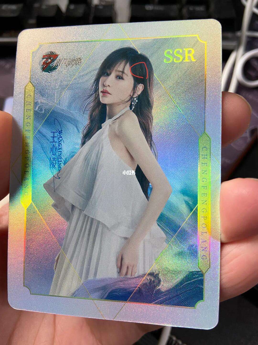 梯子ssr-梯子SSRR