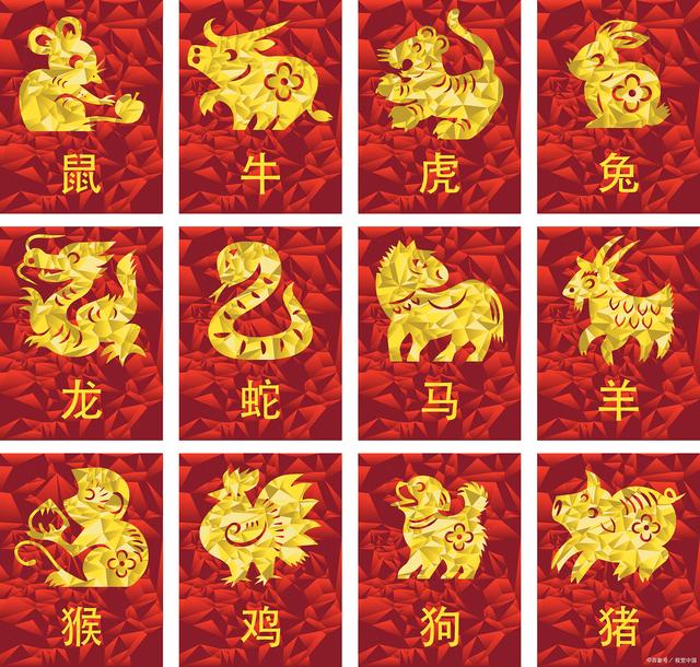 今期生肖六六来是什么动物,今期生肖六六来是什么动物生肖
