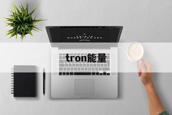 tron能量，tron能量 代理 api