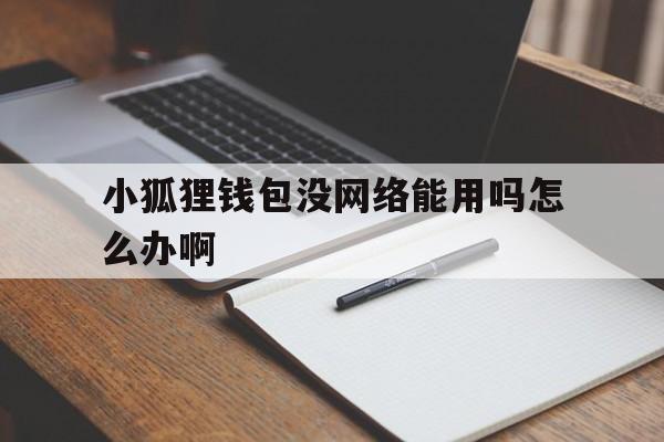 小狐狸钱包没网络能用吗怎么办啊，小狐狸钱包没网络能用吗怎么办啊安全吗