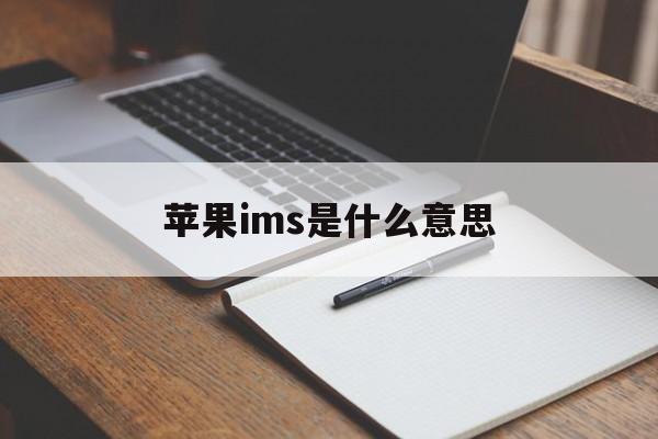 苹果ims是什么意思，苹果imsi是什么意思