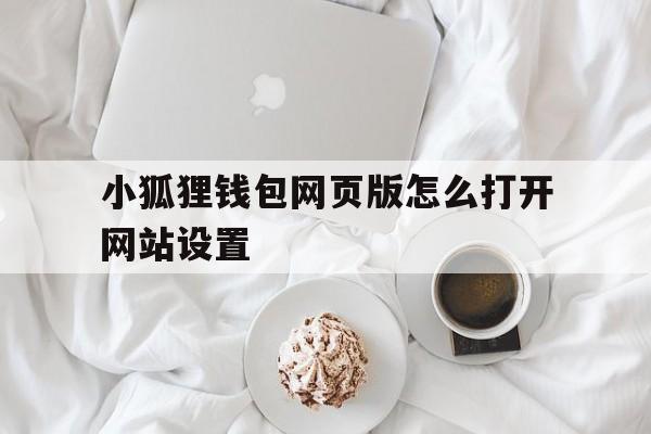 小狐狸钱包网页版怎么打开网站设置，小狐狸钱包网页版怎么打开网站设置权限