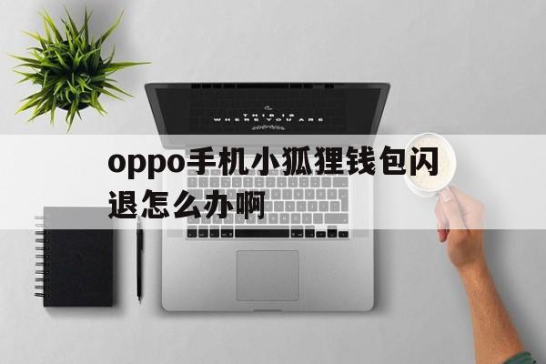 oppo手机小狐狸钱包闪退怎么办啊，oppo手机小狐狸钱包闪退怎么办啊怎么关闭