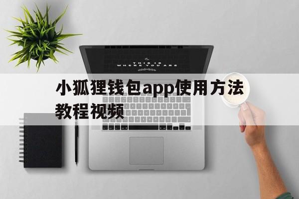 小狐狸钱包app使用方法教程视频，小狐狸钱包app使用方法教程视频大全