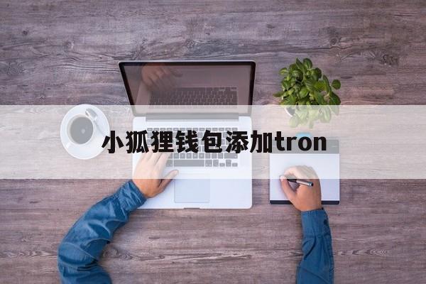 小狐狸钱包添加tron，小狐狸钱包添加core代币