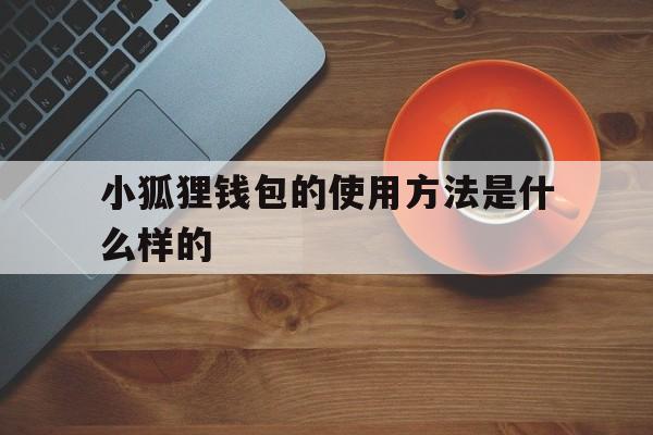 小狐狸钱包的使用方法是什么样的，小狐狸钱包的使用方法是什么样的图片