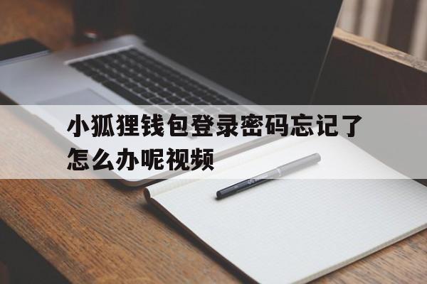 小狐狸钱包登录密码忘记了怎么办呢视频，小狐狸钱包登录密码忘记了怎么办呢视频教学