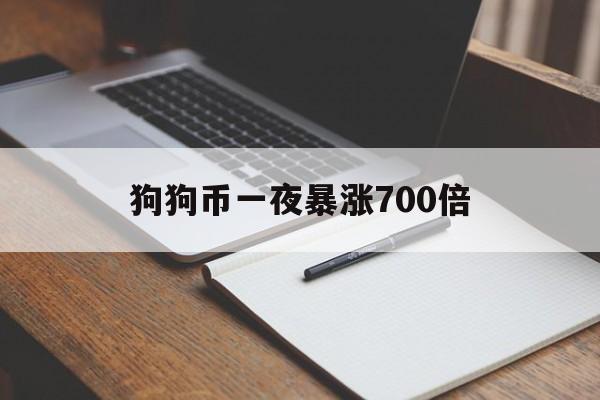 狗狗币一夜暴涨700倍，2024年即将出现的百倍币