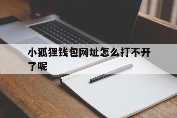 小狐狸钱包网址怎么打不开了呢，小狐狸钱包网址怎么打不开了呢怎么回事