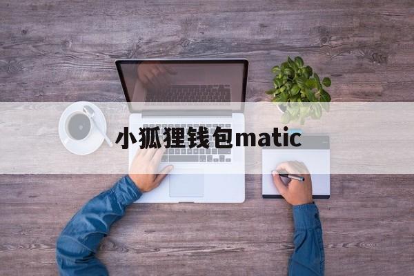 小狐狸钱包matic，小狐狸钱包最新版本730