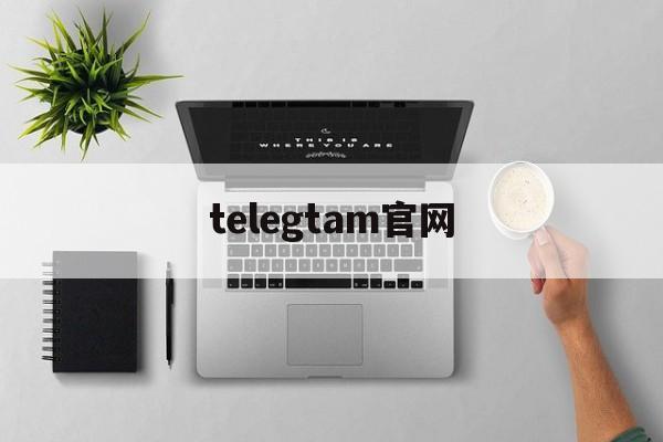 telegtam官网，telegram网页版登录入口