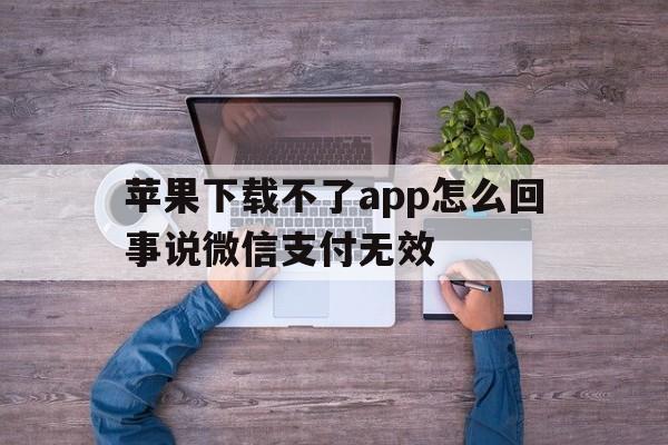 苹果下载不了app怎么回事说微信支付无效的简单介绍