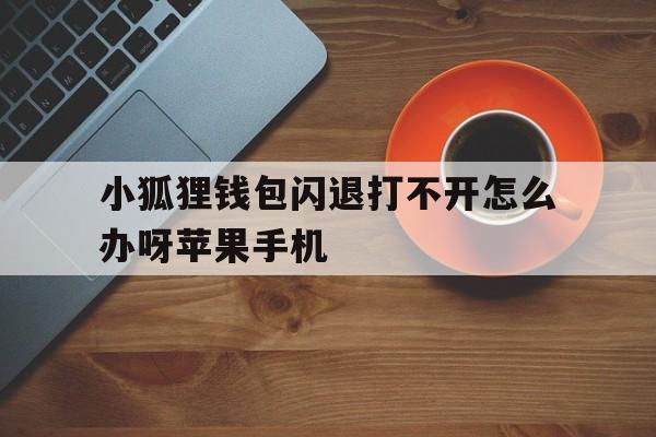 小狐狸钱包闪退打不开怎么办呀苹果手机，小狐狸钱包闪退打不开怎么办呀苹果手机怎么设置