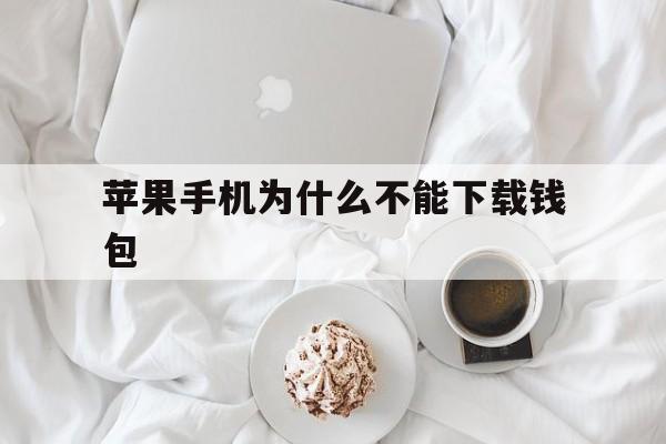 苹果手机为什么不能下载钱包，苹果手机为什么不能下载钱包app