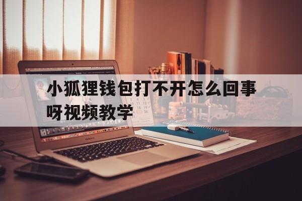 关于小狐狸钱包打不开怎么回事呀视频教学的信息