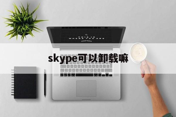 skype可以卸载嘛，win10中skype可以卸载吗