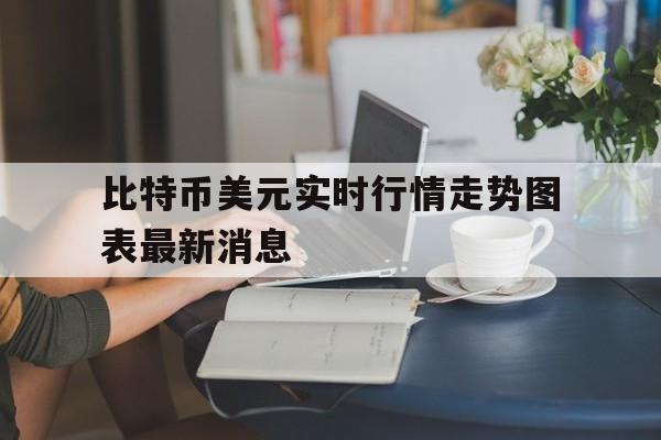 比特币美元实时行情走势图表最新消息，比特币美元实时行情走势图表最新消息新闻