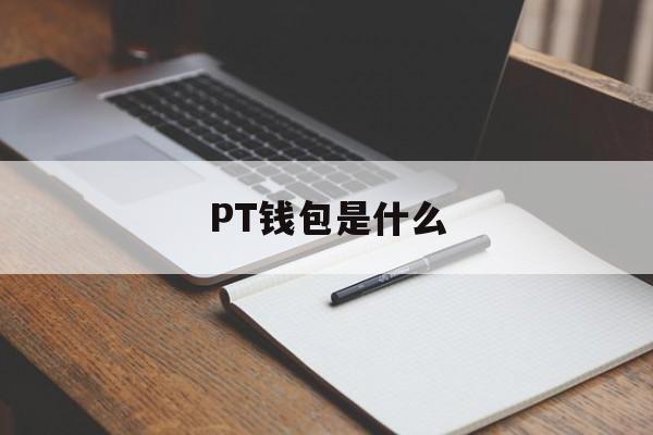 PT钱包是什么，pt钱包是真实的吗