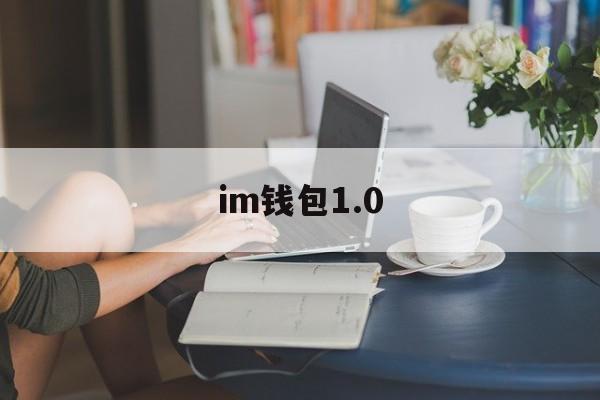 im钱包1.0，im钱包是哪里的