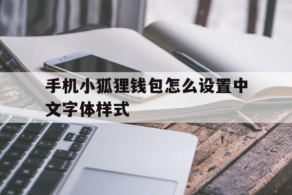 手机小狐狸钱包怎么设置中文字体样式的简单介绍