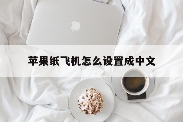 苹果纸飞机怎么设置成中文，苹果手机纸飞机怎么转换中文