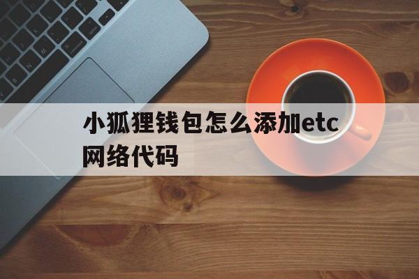 小狐狸钱包怎么添加etc网络代码，小狐狸钱包怎么添加etc网络代码设置