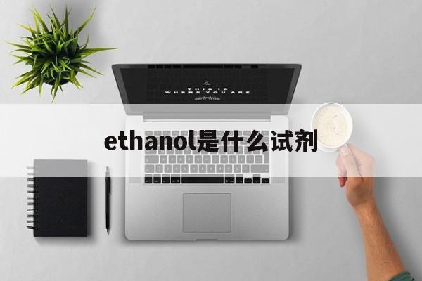 ethanol是什么试剂，ethanoic acid