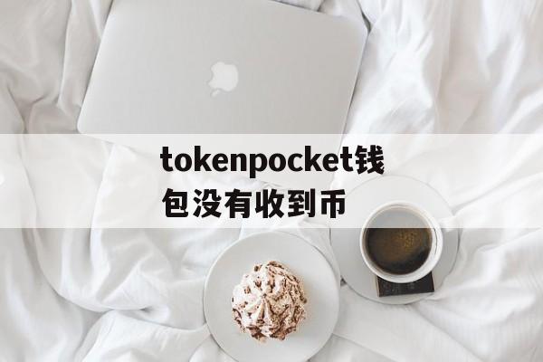 tokenpocket钱包没有收到币，tokenpocket钱包里的币如何变现