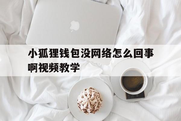 小狐狸钱包没网络怎么回事啊视频教学的简单介绍