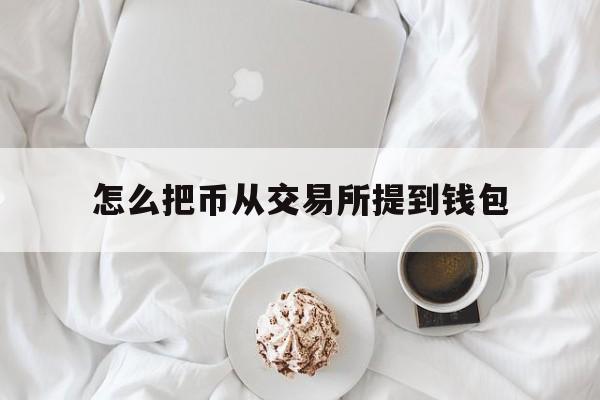 怎么把币从交易所提到钱包，怎么把币从交易所提到钱包里