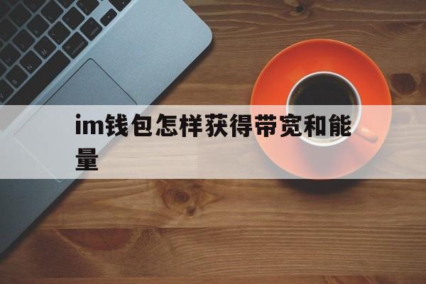 im钱包怎样获得带宽和能量，im钱包支持trc20usdt吗