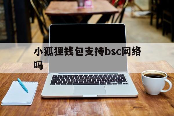 小狐狸钱包支持bsc网络吗，小狐狸钱包手机版切换bsc链