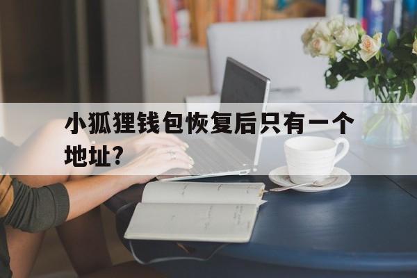 小狐狸钱包恢复后只有一个地址?的简单介绍