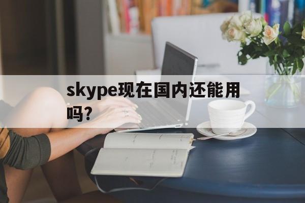 skype现在国内还能用吗?，skype现在国内还能用吗安全吗