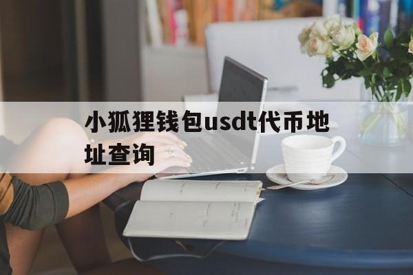 包含小狐狸钱包usdt代币地址查询的词条