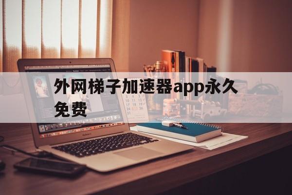 外网梯子加速器app永久免费，外网梯子加速器app永久免费版