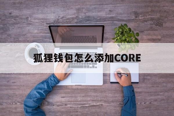 狐狸钱包怎么添加CORE，狐狸钱包怎么添加CORE网络出现RPc 无效是什么意思