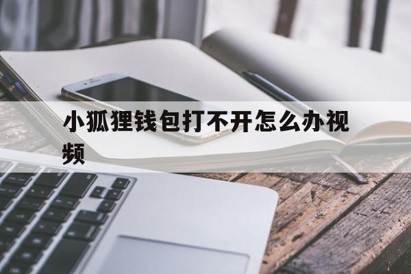 小狐狸钱包打不开怎么办视频，小狐狸钱包打不开怎么办视频教学