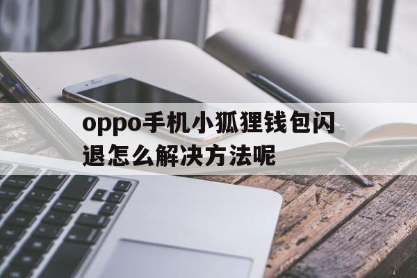 oppo手机小狐狸钱包闪退怎么解决方法呢，oppo手机小狐狸钱包闪退怎么解决方法呢视频