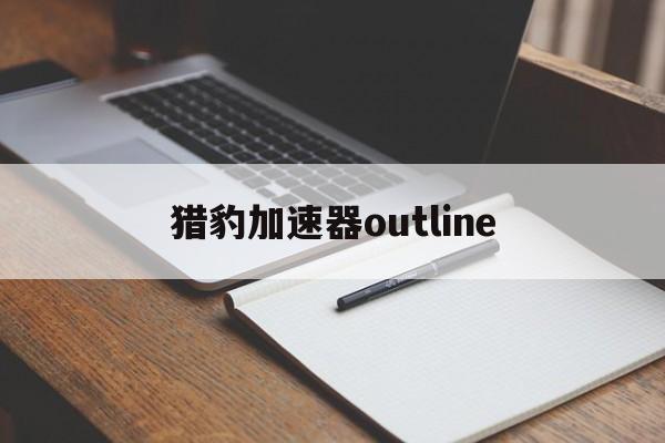 猎豹加速器outline，能上twitter的加速器