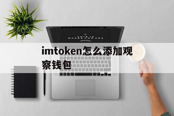 imtoken怎么添加观察钱包，imtoken钱包怎么添加trc20