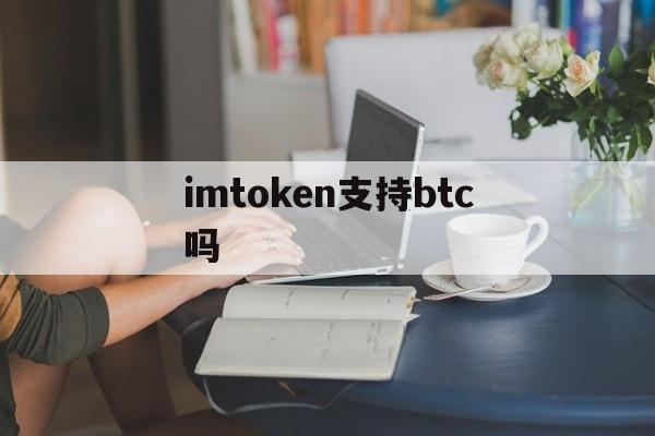 imtoken支持btc吗，imtoken支持usdt吗